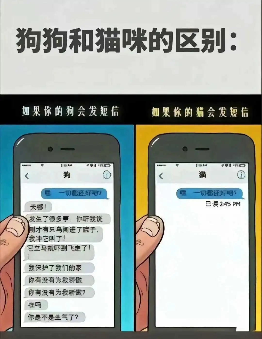 西檬之家-管教是什么？BDSM字母圈新人入圈指南