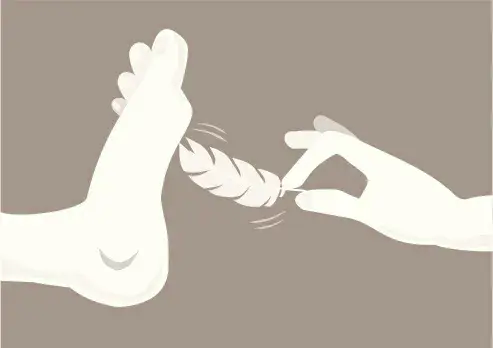 西檬之家-斯慕圈入门指南