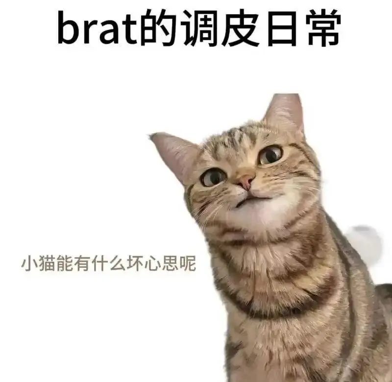 [西檬之家] 新手指南：BDSM 圈子里的术语与心理建设