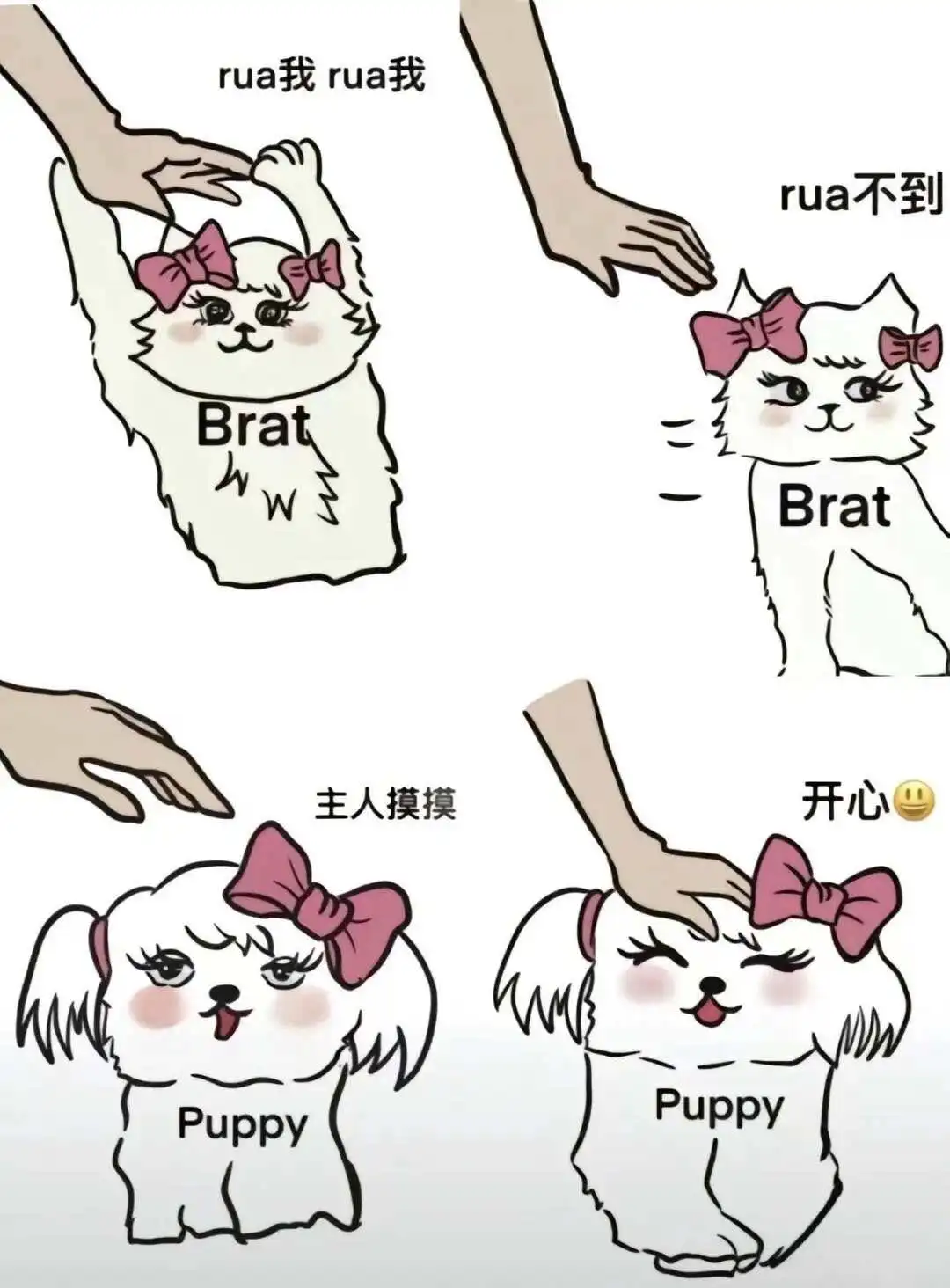 西檬之家 - DT 是什么？字母圈新人入圈指南