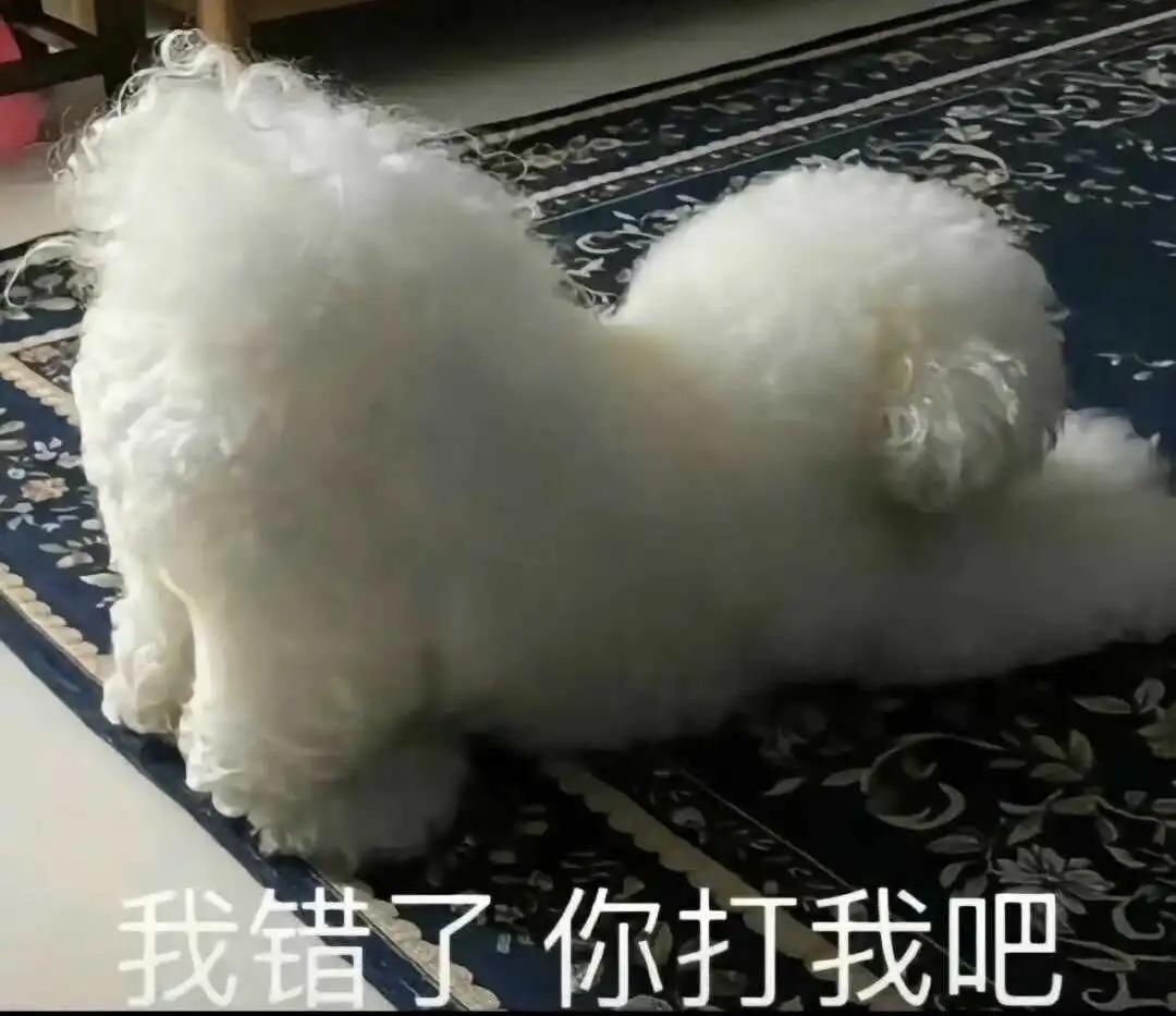 【西檬之家】圣水在字母圈的含义与新人入圈指南