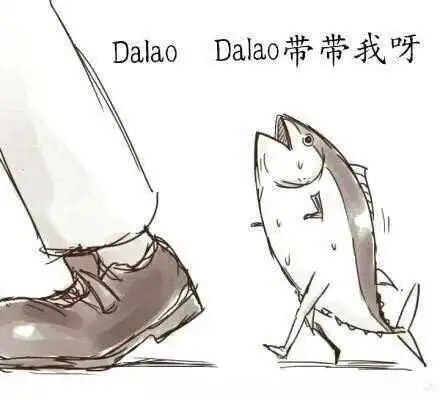 【西檬之家】BD新人必需掌握的概念