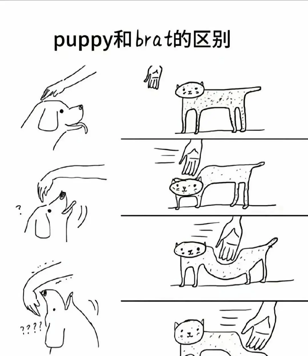西檬之家-新人入圈，从理解字母圈开始：字母圈的核心术语与互动逻辑
