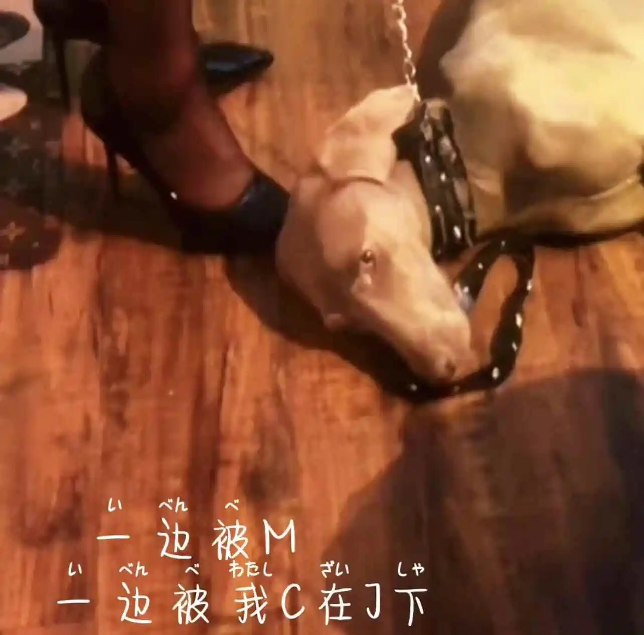【西檬之家】BDSM M是什么意思？新人入圈权威指南