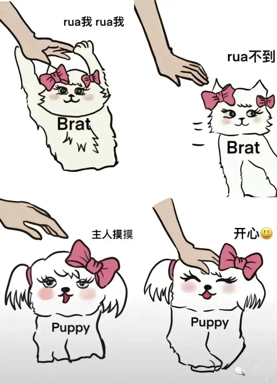 【西檬之家】字母圈TK玩法指南：Tickle与SSC原则入门