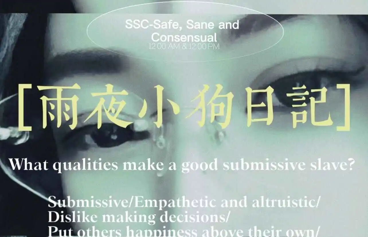 S - 微信图片_20240708154450